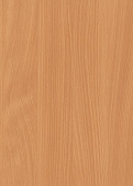 BAVARIAN BEECH